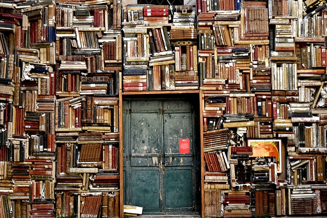 dveře knihovny